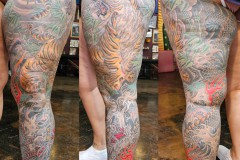 CM_Photogrid_1693462782252